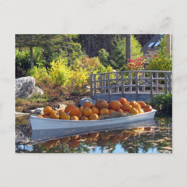 Pumpkin Boat-vykort Vykort (Framsida)