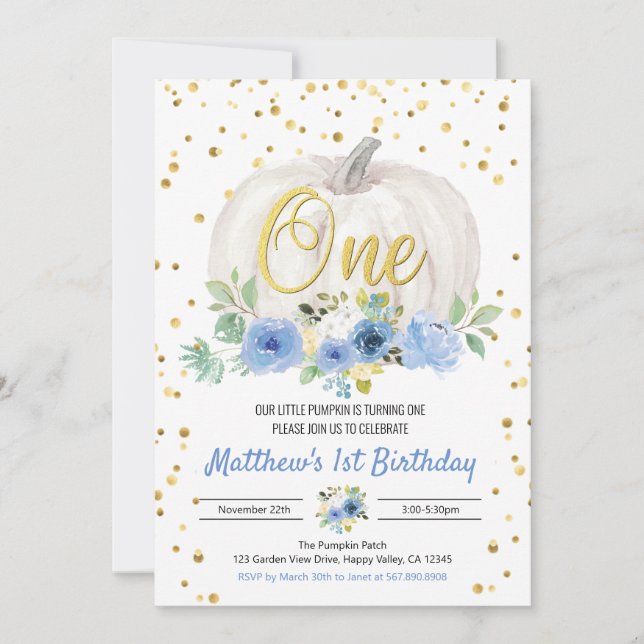 Pumpkin Boy 1st Birthday Party Rosa Investigation (Framsida)