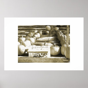 Pumpkin Cart Poster