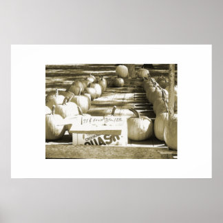 Pumpkin Cart Poster