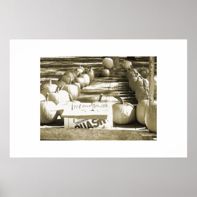 Pumpkin Cart Poster (Framsidan)