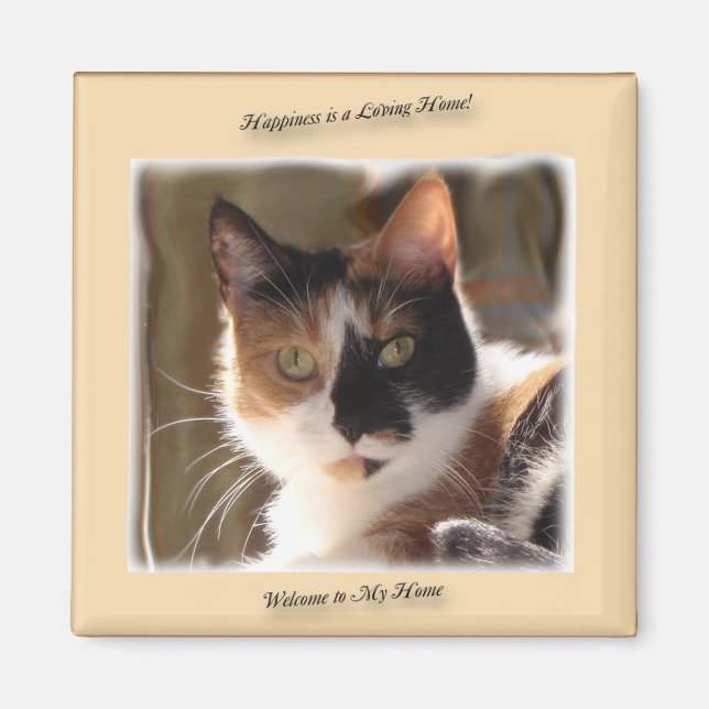 Pumpkin Cat Happnet Magnet (Framsidan)