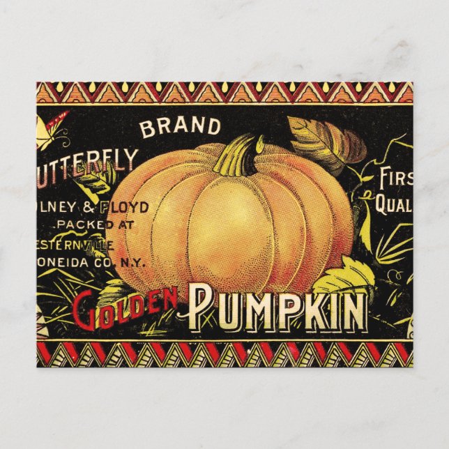 Pumpkin-etikett Antique Butterfly Brand Vykort (Framsida)