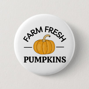 Pumpkin Fall Autumn Knapp
