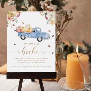 Pumpkin Fall Baby Shower My Vatten Fattig Game Sig Poster