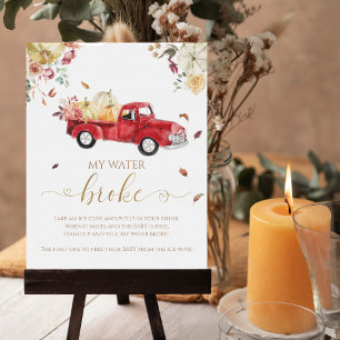 Pumpkin Fall Baby Shower My Vatten Fattig Game Sig Poster