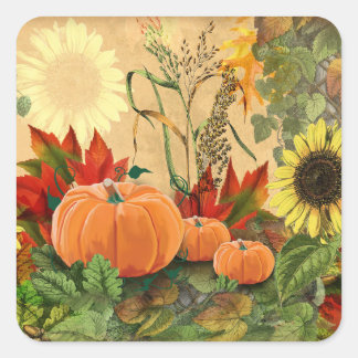 Pumpkin Fall Harvest Fyrkantigt Klistermärke