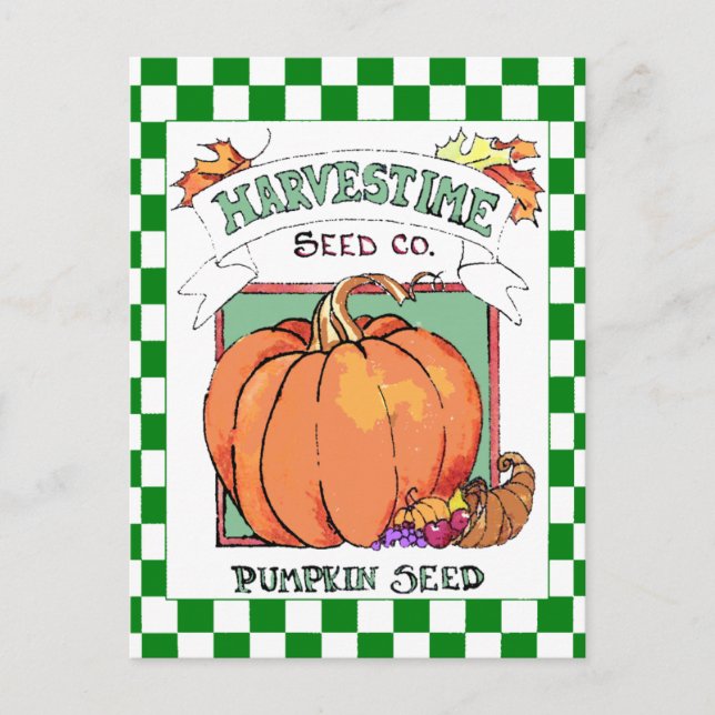 Pumpkin-Fall Harvest-Seed Packet Vykort (Framsida)