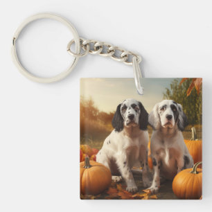 Pumpkin för engelska Setter Puppy Autumn Delight