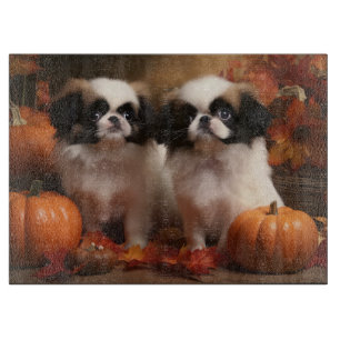 Pumpkin för japansk chin Puppy Autumn Delight Pump