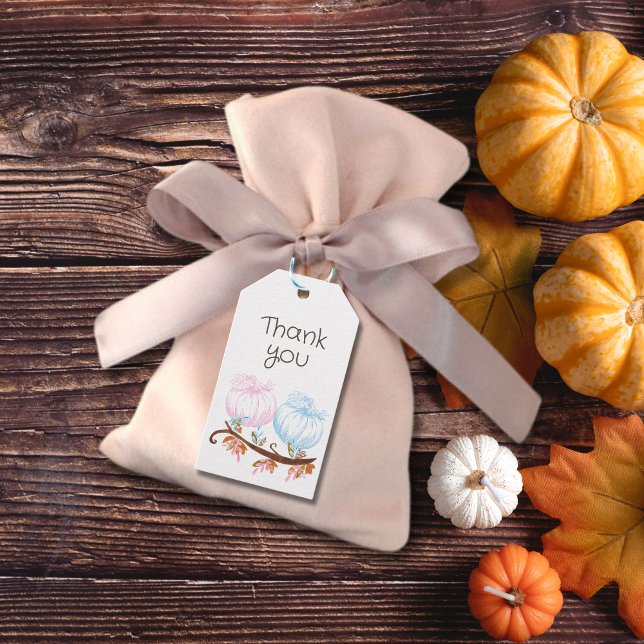 Pumpkin Gender Reveal (visa tack) Presentetikett (Skapare uppladdad)