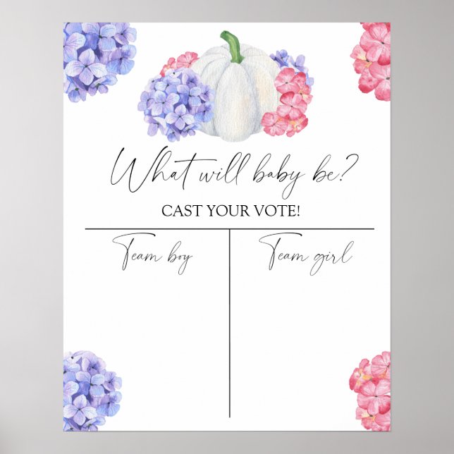 Pumpkin Gender visar Boy- eller Girl-diagram Poster (Framsidan)