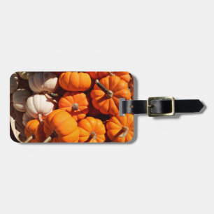 Pumpkin halloween jack o lantern orange pumpor bagagebricka