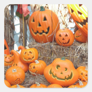 Pumpkin halloween jack o lantern orange pumpor fyrkantigt klistermärke