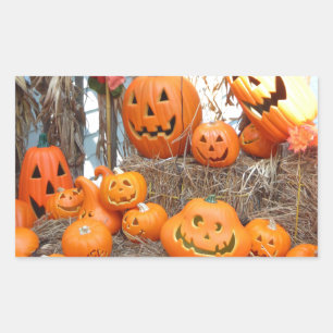 Pumpkin halloween jack o lantern orange pumpor rektangulärt klistermärke