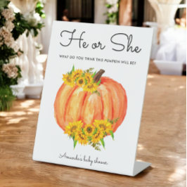 Pumpkin Han eller hon Gender Reveal
