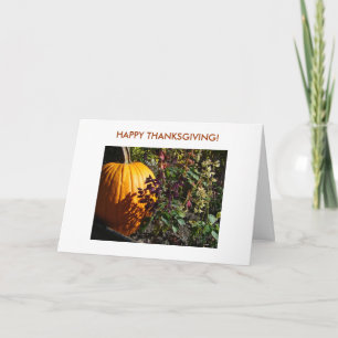 Pumpkin, HAPPY THANKSGIVING! Helgkort