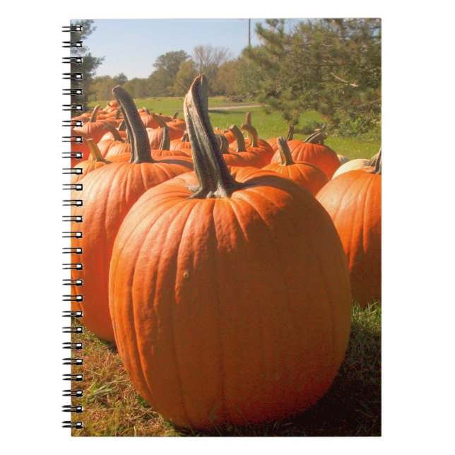 Pumpkin Harvest Anteckningsbok (Framsidan)