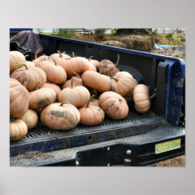 Pumpkin Harvest Pickup Lastbil Fall Poster (Framsidan)