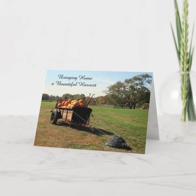 Pumpkin Harvest - Thanksgiving Card Helgkort (Framsida)