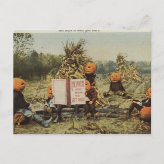 Pumpkin Heaven Vykort