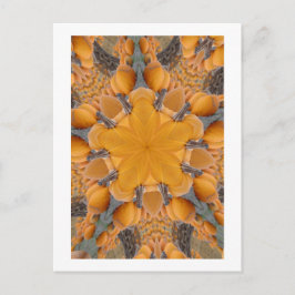 Pumpkin Kaleidoscope Vykort