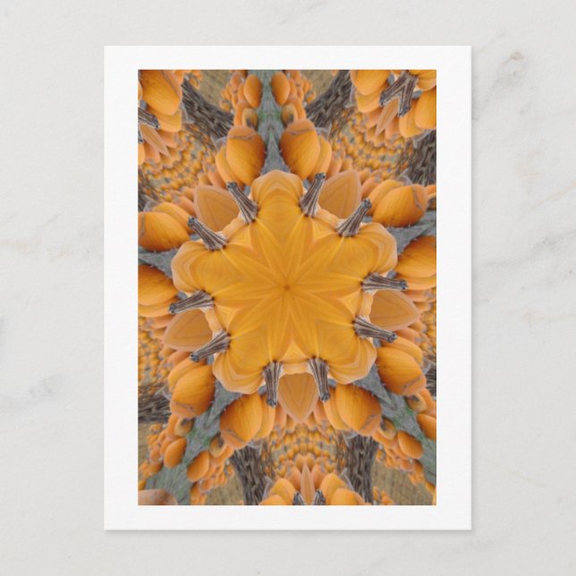 Pumpkin Kaleidoscope Vykort (Framsida)