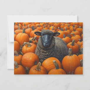 Pumpkin-korrigering för svart fårhöst vykort