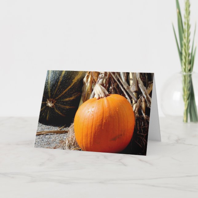 Pumpkin Kort (Framsida)