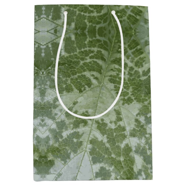 Pumpkin Leaf Macro (Framsidan)