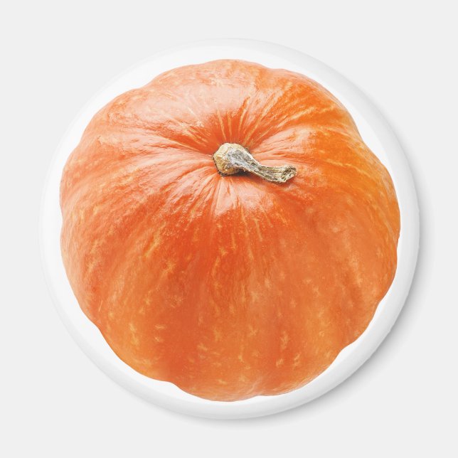 Pumpkin Magnet (Framsidan)