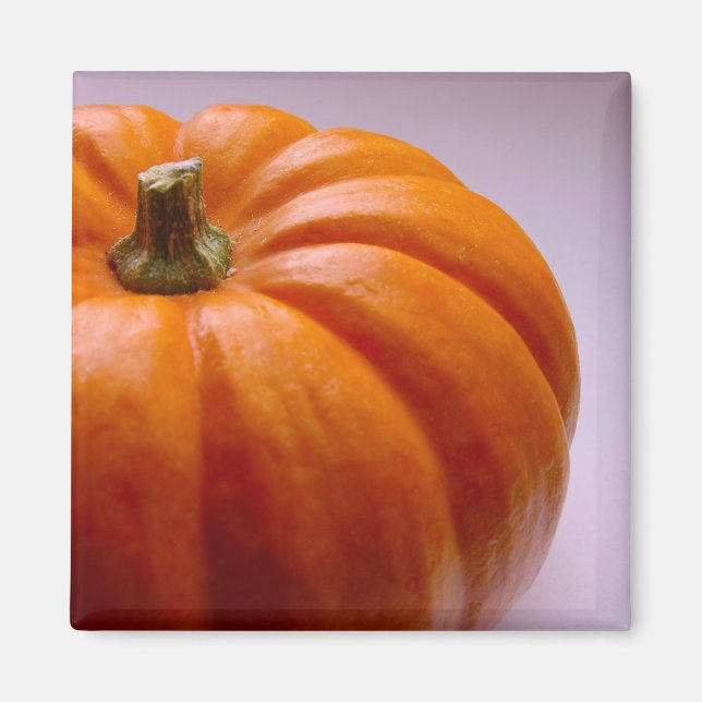 Pumpkin Magnet (Framsidan)