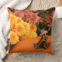 Pumpkin med Gult och korall Morsa