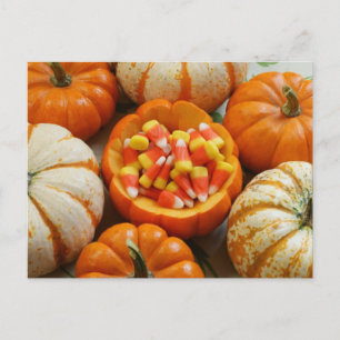 Pumpkin och Candy corn Vykort