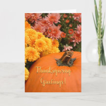 Pumpkin och Chrysanthemums/Thanksgiving