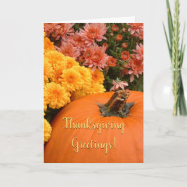 Pumpkin och Chrysanthemums/Thanksgiving Kort