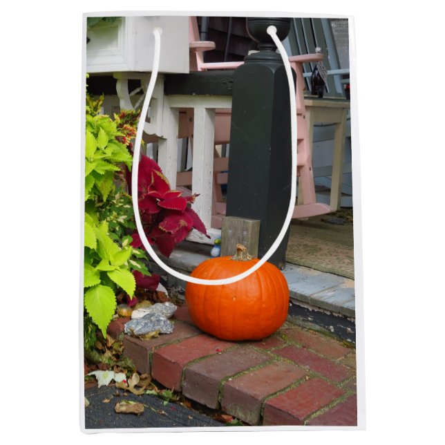 Pumpkin och Coleus - Martha's Vineyard (Framsidan)