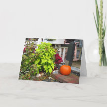 Pumpkin och Coleus - Martha's Vineyard