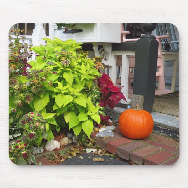 Pumpkin och Coleus - Martha's Vineyard Musmatta (Framsidan)