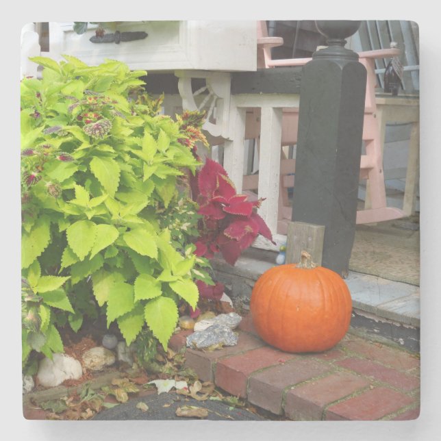 Pumpkin och Coleus - Martha's Vineyard Stenunderlägg (Framsidan)