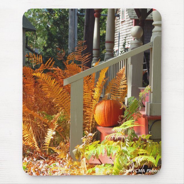 Pumpkin och Ferns - Martha's Vineyard Musmatta (Framsidan)