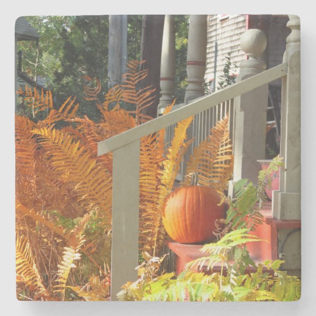 Pumpkin och Ferns - Martha's Vineyard Stenunderlägg (Framsidan)