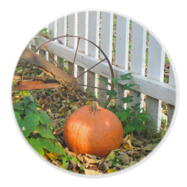 Pumpkin och Plow Knopp (Framsidan)