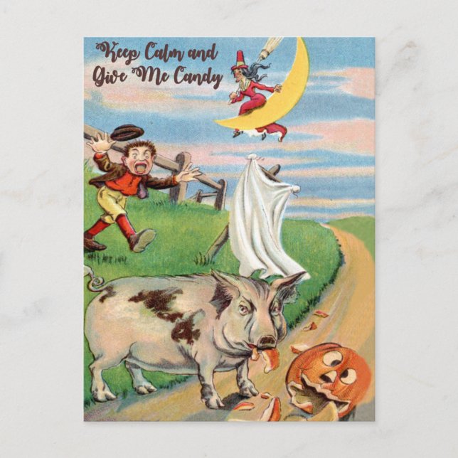 Pumpkin-olycka med Gris Vykort (Framsida)