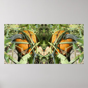 Pumpkin on Vine Fall Spegel Abstrakt Poster