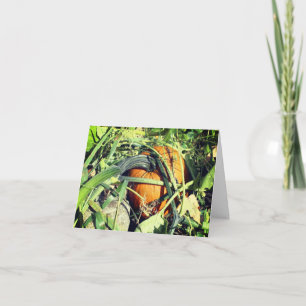 Pumpkin On Vine Nature Anpassade Note Tack Kort