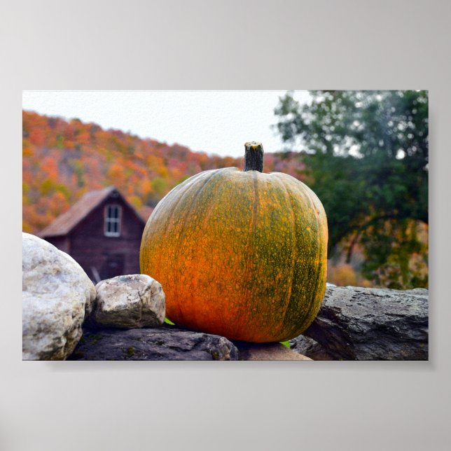 Pumpkin på Sten Wall i Vermont, hösten Poster (Framsidan)