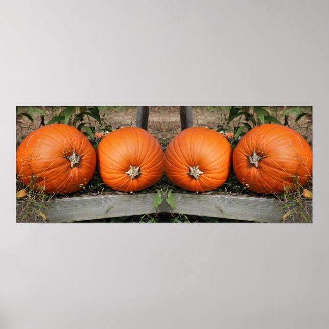 Pumpkin Pair Fall Spegel Abstrakt Poster (Framsidan)