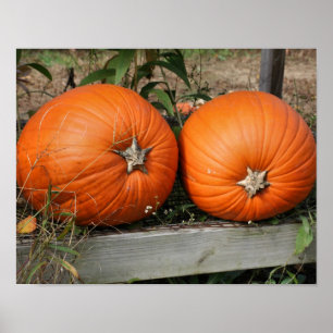 Pumpkin Pair Land Fall Poster