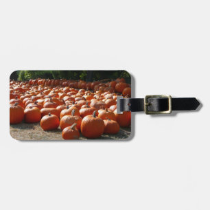 Pumpkin Patch Autumn Harvest Photography Bagagebricka